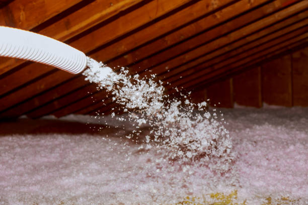 Best Residential Insulation in Morrice, MI