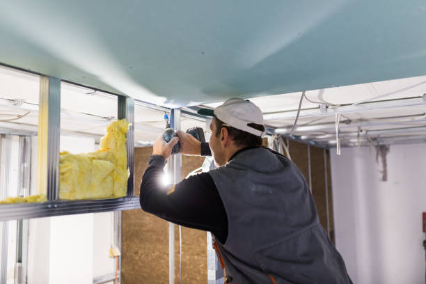 Best Eco-Friendly Insulation in Morrice, MI