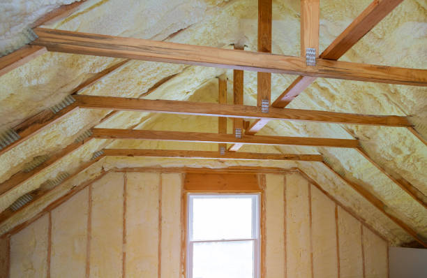 Best DIY Insulation Kits and Guidance in Morrice, MI