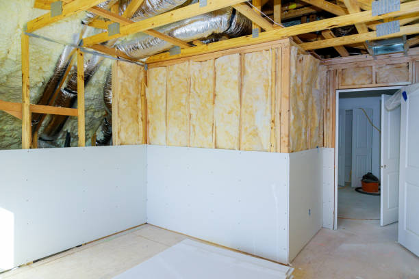 Best Insulation Maintenance and Repair in Morrice, MI