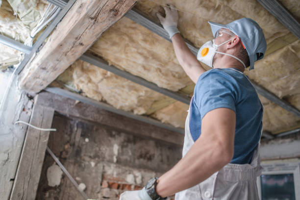  Morrice, MI Insulation Contractor Pros
