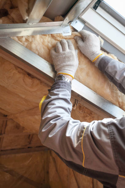 Best Spray Foam Insulation in Morrice, MI