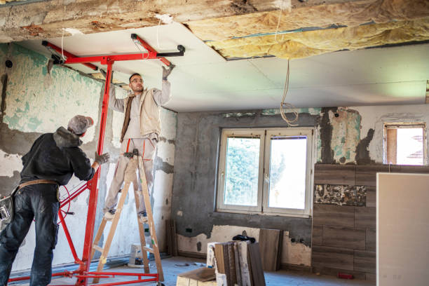 Best Blown-in Insulation in Morrice, MI