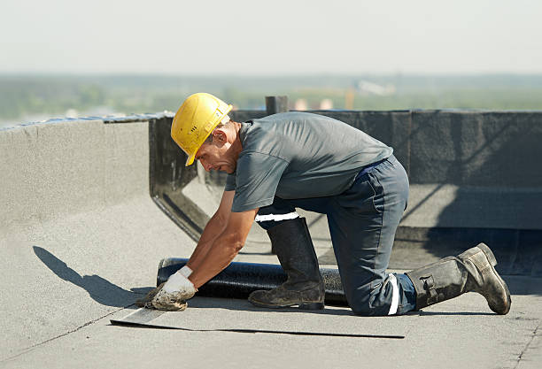 Best Geographic-Specific Insulation Services in Morrice, MI